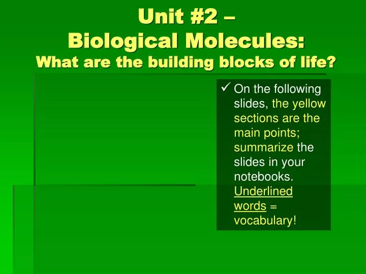 unit 2 biological molecules what are the building blocks of life