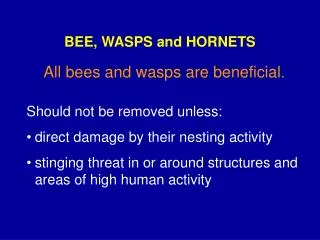 BEE, WASPS and HORNETS