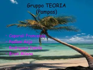 gruppo teoria pampas