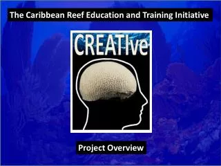 The Caribbean Reef Education and Training Initiative