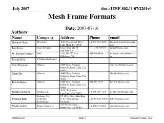 Mesh Frame Formats