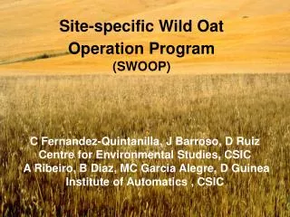 Site-specific Wild Oat Operation Program (SWOOP)
