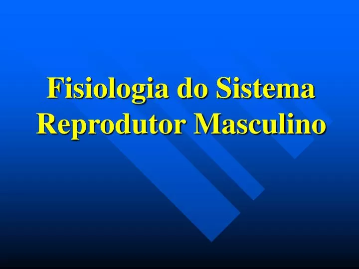 fisiologia do sistema reprodutor masculino