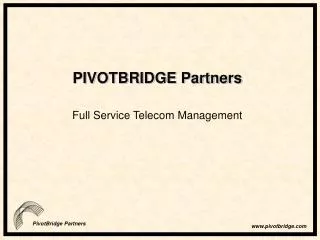 PIVOTBRIDGE Partners
