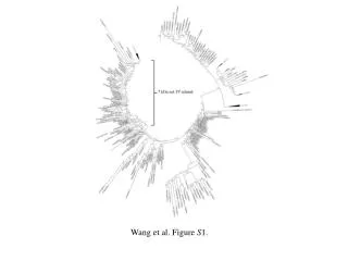 Wang et al. Figure S 1.