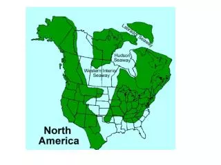 Cratonic Sequences of North America