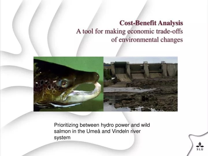 cost benefit analysis a tool for making economic trade offs of environmental changes