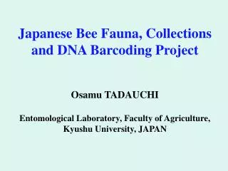 1 Database Files of Japanese and Asian Insects