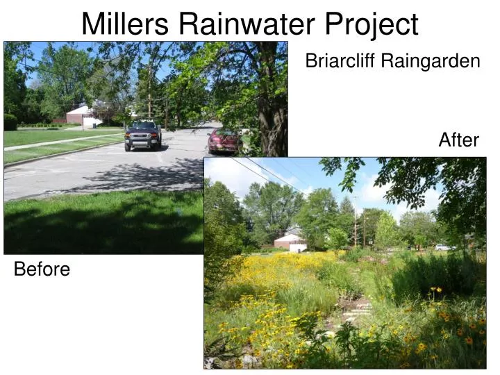 millers rainwater project