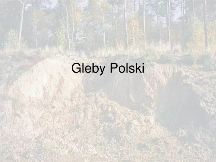 gleby polski