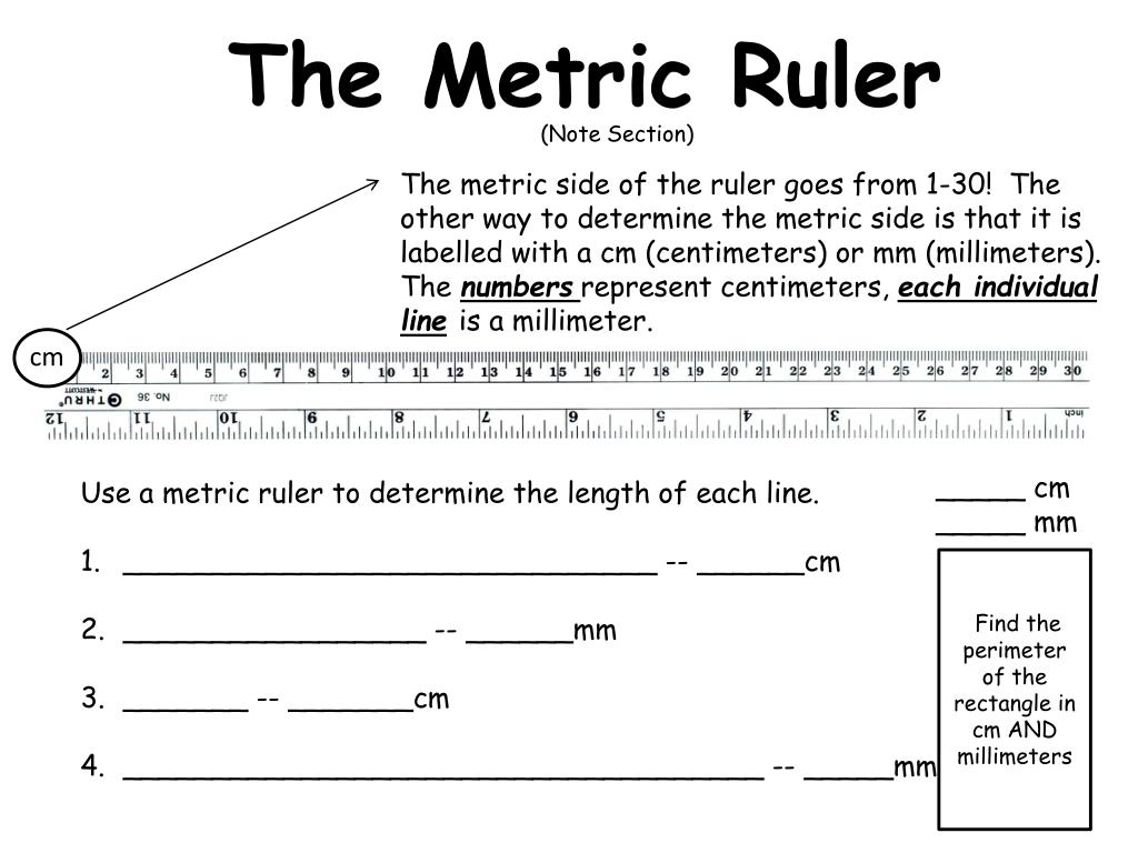 PPT - The M etric Ruler PowerPoint Presentation, free download - ID:5845376