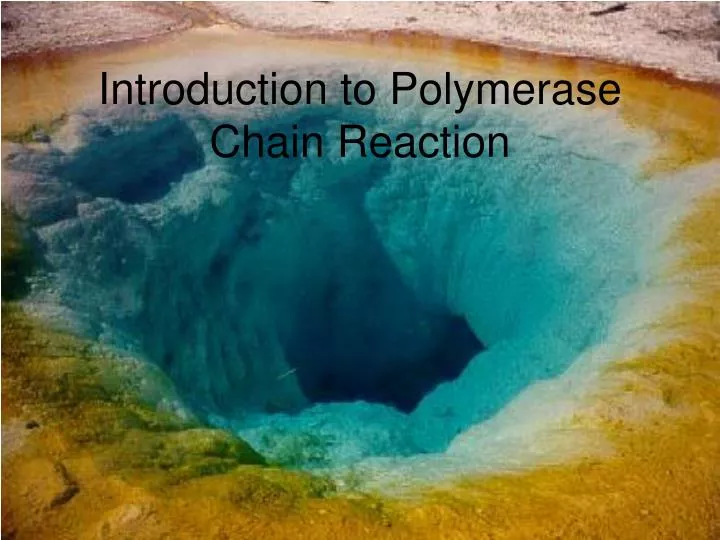 introduction to polymerase chain reaction