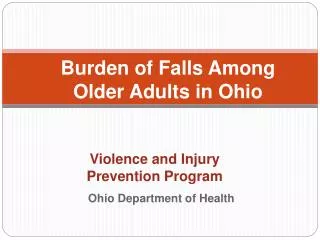 Violence and Injury Prevention Program