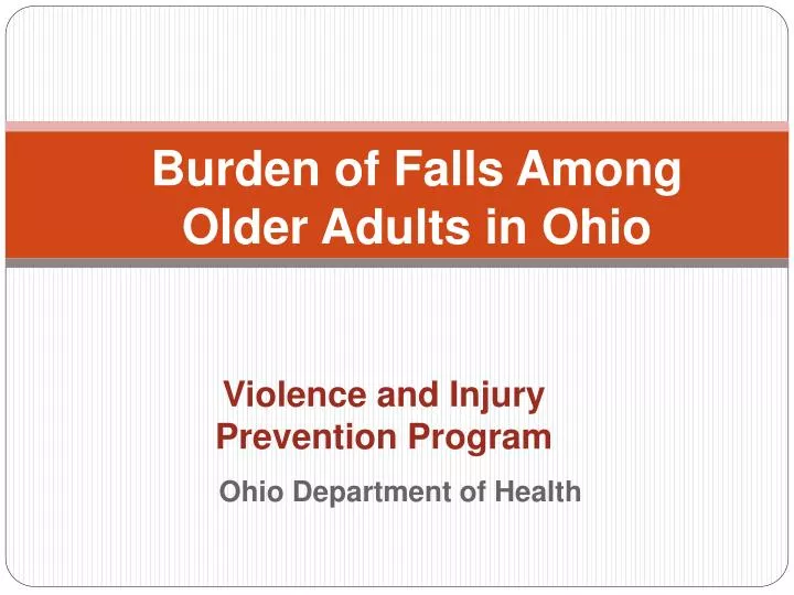 violence and injury prevention program