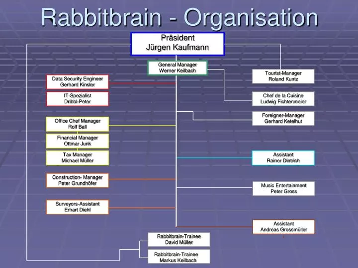 rabbitbrain organisation