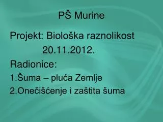 p murine