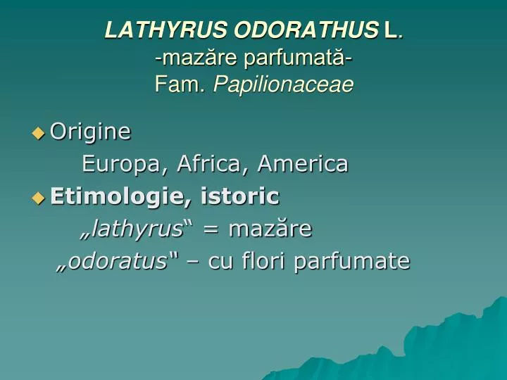 lathyrus odorathus l maz re parfumat fam papilionaceae