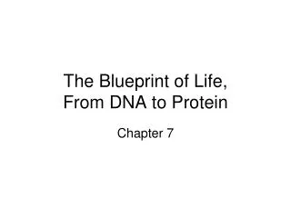 The Blueprint of Life, From DNA to Protein