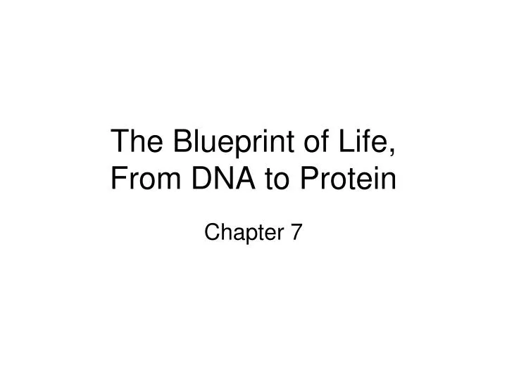 the blueprint of life from dna to protein