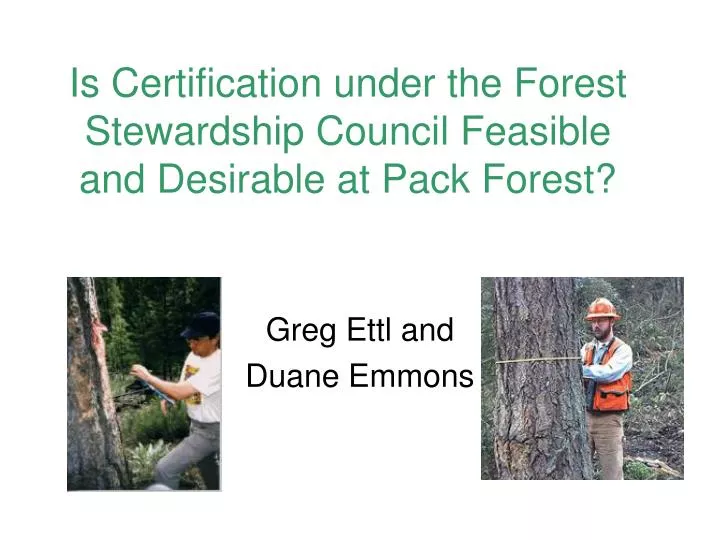 is certification under the forest stewardship council feasible and desirable at pack forest