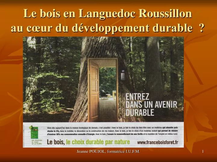 le bois en languedoc roussillon au c ur du d veloppement durable