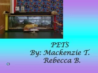 PETS By: Mackenzie T. Rebecca B.