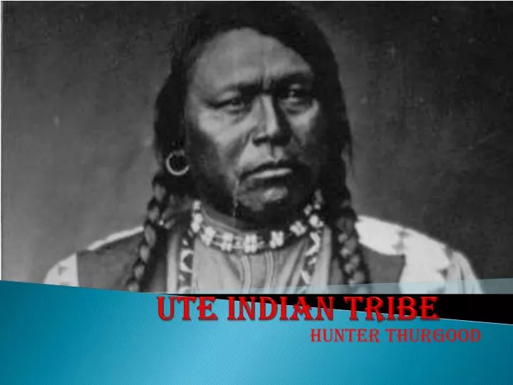 ute indian tribe
