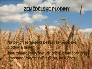 zem d lsk plodiny