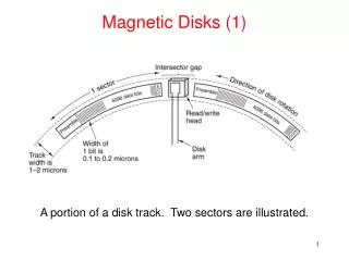 Magnetic Disks (1)
