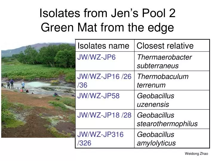 isolates from jen s pool 2 green mat from the edge