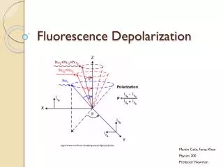 Fluorescence Depolarization