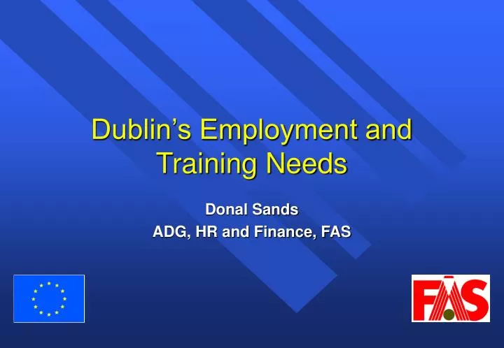 dublin s employment and training needs