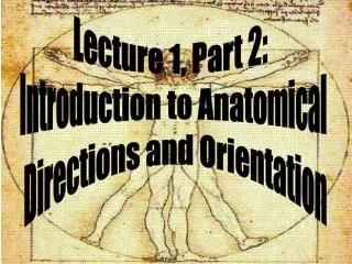 Lecture 1, Part 2: Introduction to Anatomical Directions and Orientation