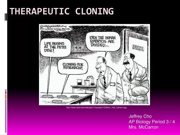therapeutic cloning