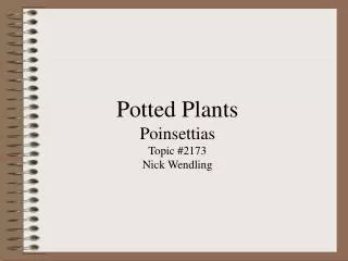 Potted Plants Poinsettias Topic #2173 Nick Wendling