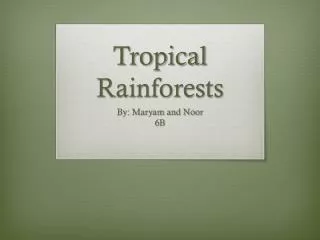 Tropical Rainforests