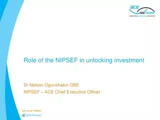 Role of the NIPSEF in unlocking investment