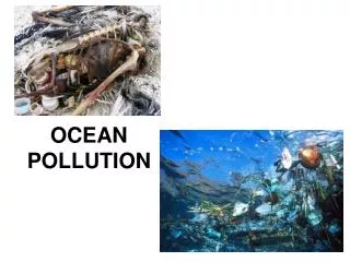 OCEAN POLLUTION