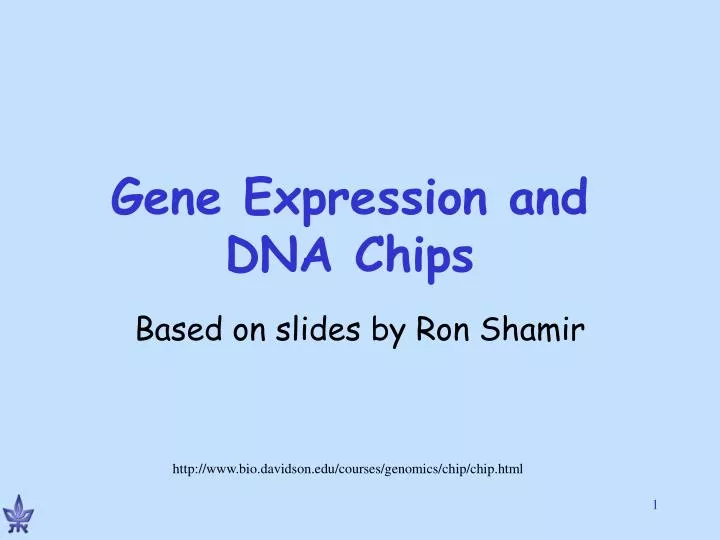 gene expression and dna chips
