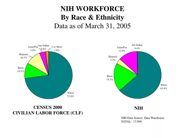 nih workforce by race ethnicity data as of march 31 2005