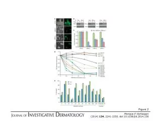 Monique E Verhaegen (2014) 134 , 2241-2250. doi:10.1038/jid.2014.138