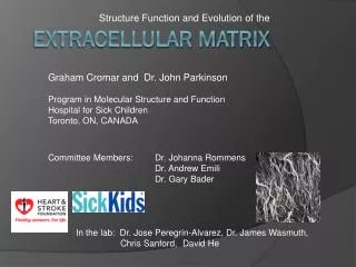 structure function and evolution of the