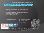 Extracellular matrix