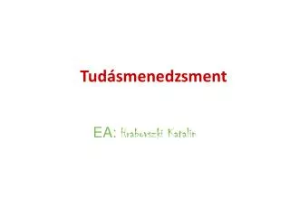 tud smenedzsment