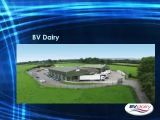 BV Dairy