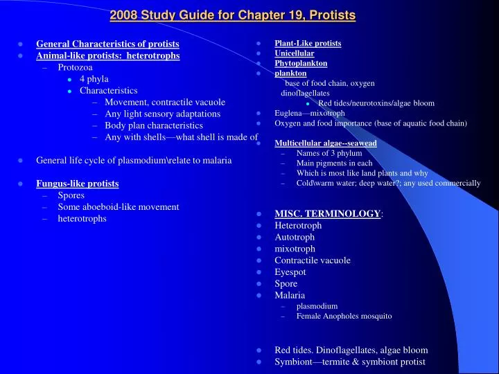 2008 study guide for chapter 19 protists