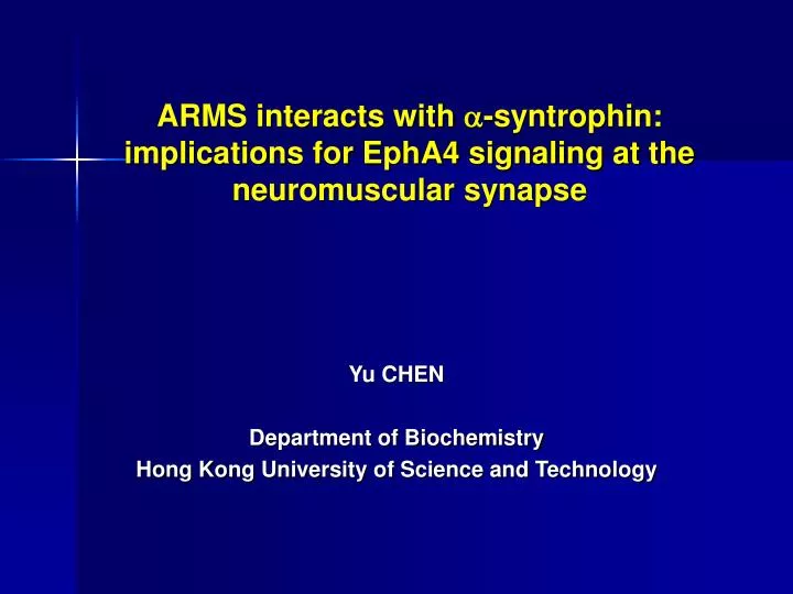 arms interacts with a syntrophin implications for epha4 signaling at the neuromuscular synapse