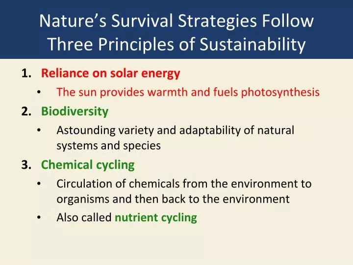 nature s survival strategies follow three principles of sustainability