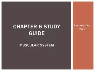 CHAPTER 6 STUDY GUIDE MUSCULAR SYSTEM