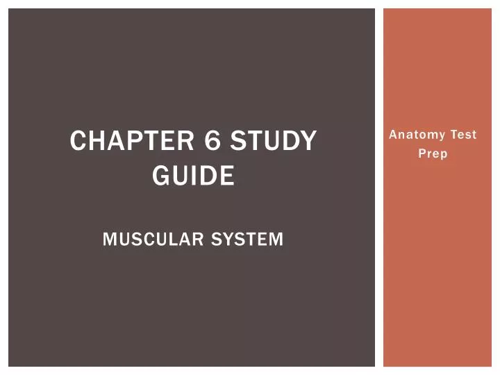 chapter 6 study guide muscular system